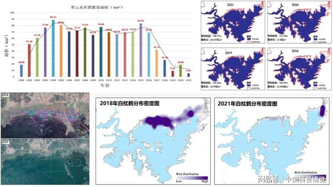 水库水位管控-岸边消落带-白枕鹤分布密度之间的动态关系示意图