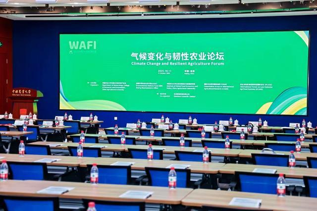 图片来源：大会主办方供图