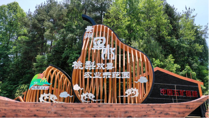 中国五矿贵州沿河县黑水镇“桃梨欢喜”农业示范园 中国五矿供图