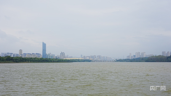 三门峡天鹅湖国家城市湿地公园（央广网记者  张羲轮  摄）