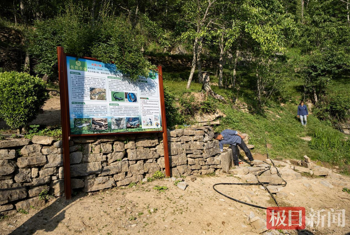 附近的山林竖立了保护中国小鲵的科普保护牌