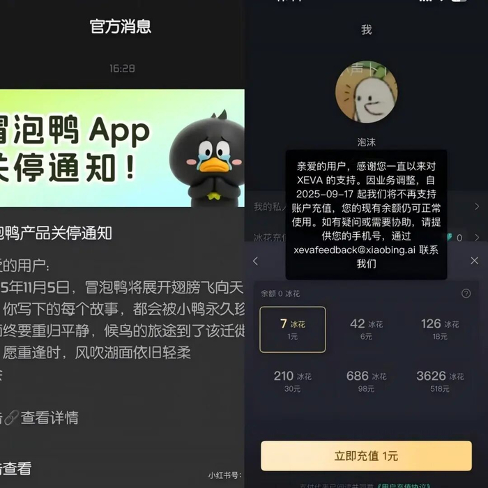 图源:网络及应用截图