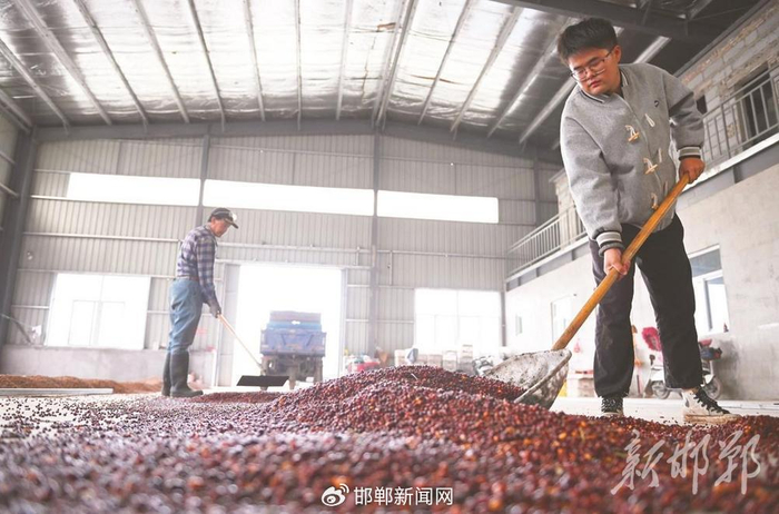 邯郸新闻传媒中心记者 李艺璇/文  周绍宗/摄