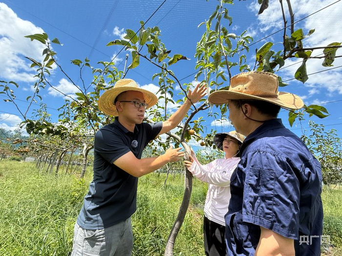 程寅胜（左一）专程从武汉赶到基地，现场技术指导（央广网记者  周蓓  摄）