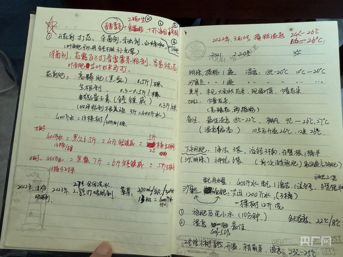 廖娟萍的笔记本里，记录着密密麻麻的樱桃养护技术参数（央广网实习记者  王薪媛  摄）