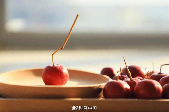 图库版权图片，转载使用可能引发版权纠纷