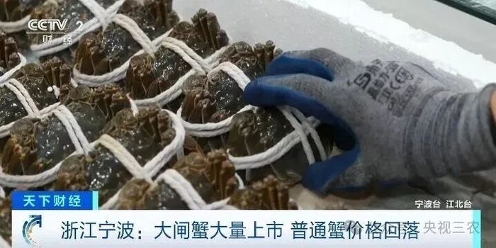央视财经10月15日报道