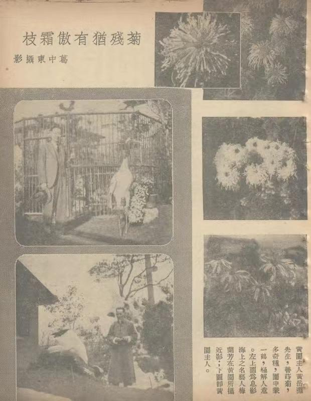 左上图：梅兰芳与鹤合影；左下图：黄岳渊与鹤在假山朵云下合影