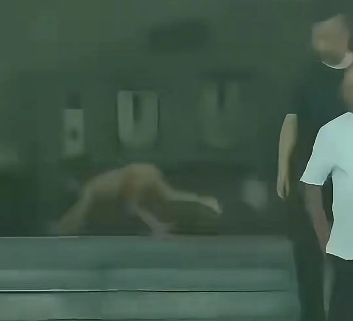 网络截图