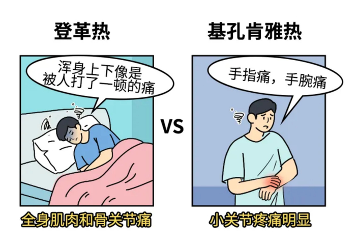 图源：深圳市疾控中心