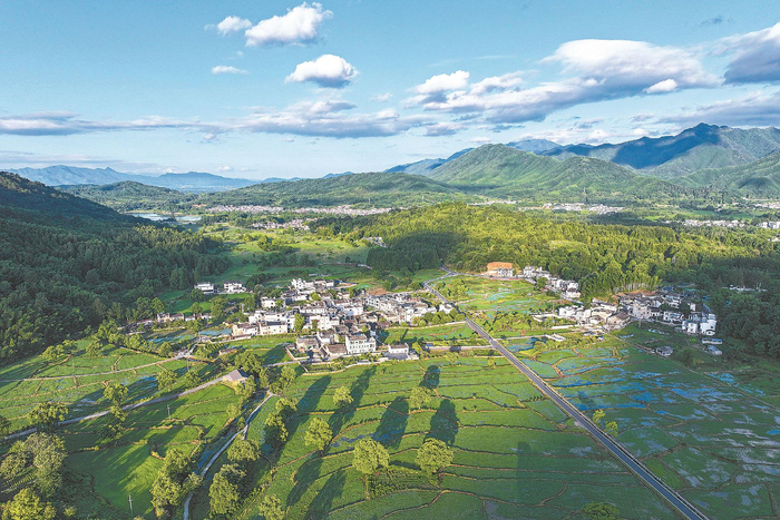 黄山市境内，错落有致的民居与绿色稻田交相辉映，构成美丽乡村田园画卷。（资料图片）视觉中国供图