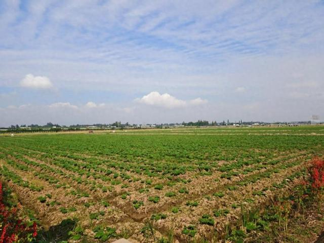 四川省眉山市东坡区太和镇永丰村的高标准农田。人民网记者 李栋摄