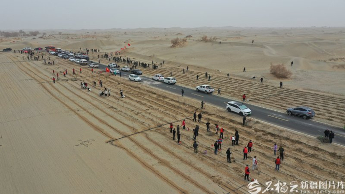 　　今年3月12日，和田市各族干部群众参加春季义务植树活动（航拍图）。阿巴拜科日摄