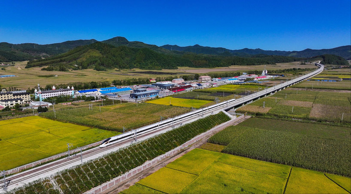沈白高铁在农田旁飞驰而过。陈明摄