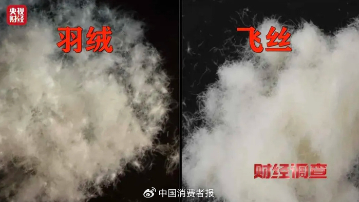 央视截图