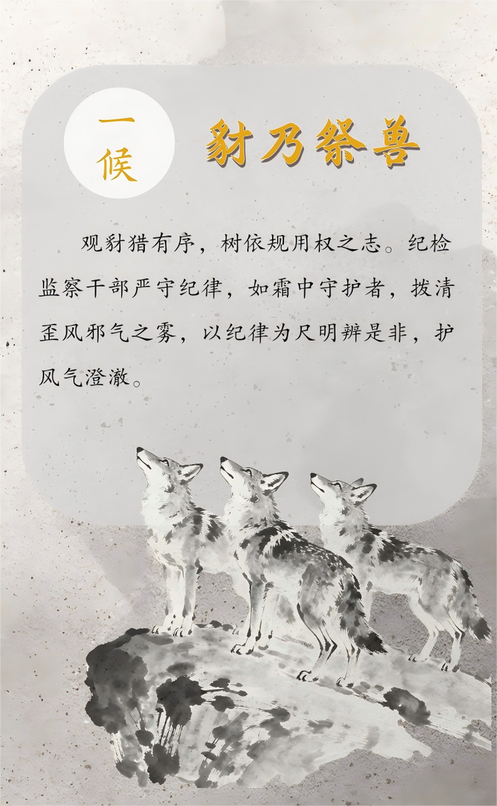 霜降：霜落收秋色 风来启冬声