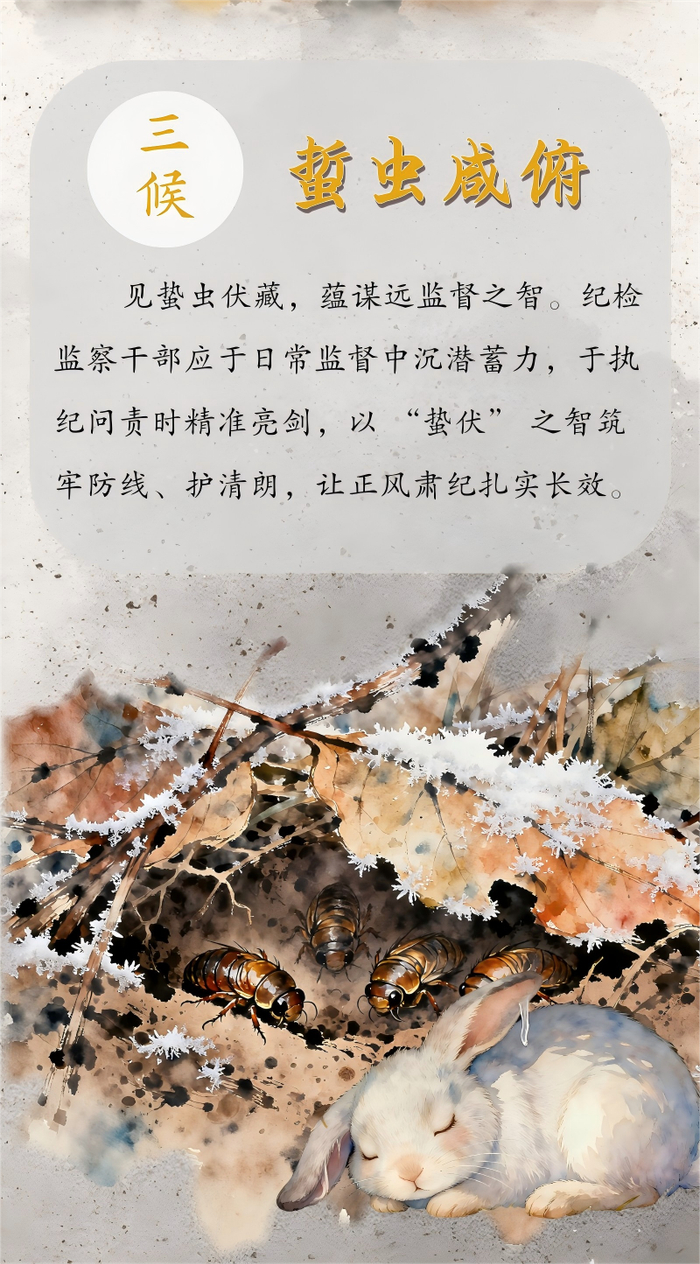 霜降：霜落收秋色 风来启冬声