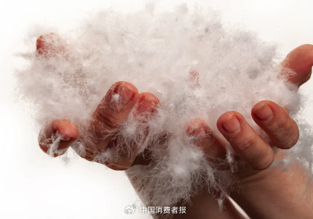 千库网授权图片