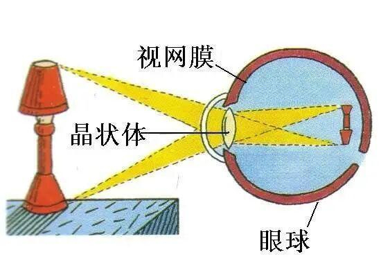 眼球成像示意图