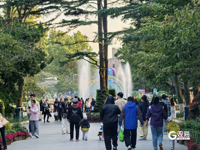 （青岛日报/观海新闻记者 刘硕 文/图/视频）