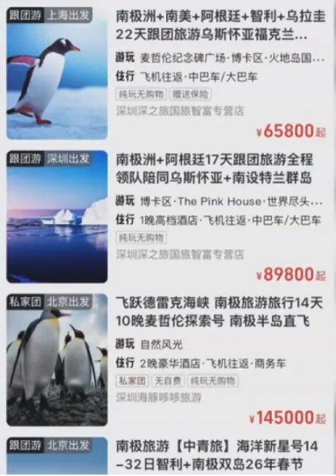 目前南极游的价格。网络图