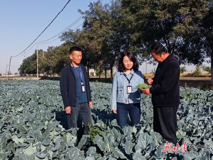 甘州区长安镇纪检干部深入田间地头倾听群众诉求。（张掖市纪委监委 供图）