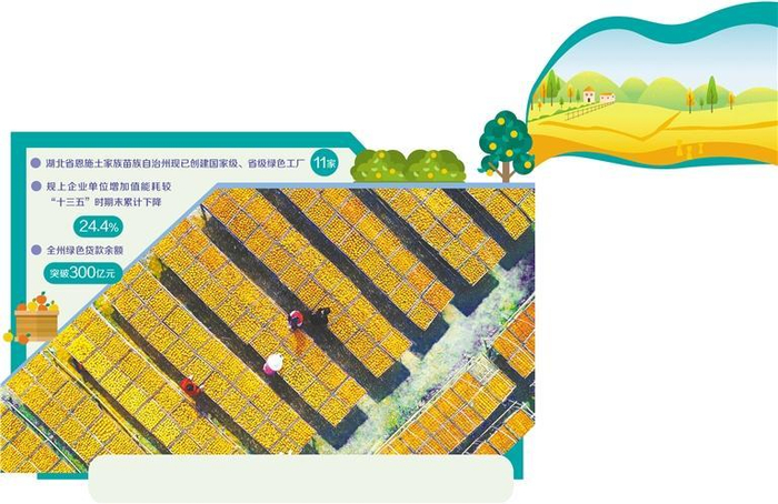     图为恩施州建始县三里乡的柿饼加工厂，“一乡一业、一乡一特”的产业发展格局，为当地经济发展注入活力。 曾 伟摄