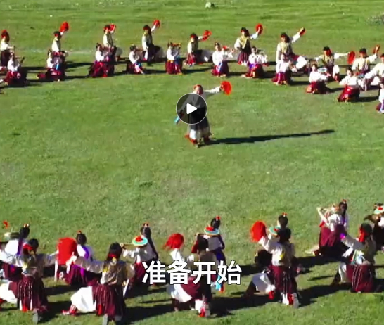 编辑：呼乐乐