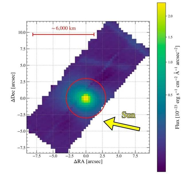 （来源：W. B. Hoogendam et al. 2025）