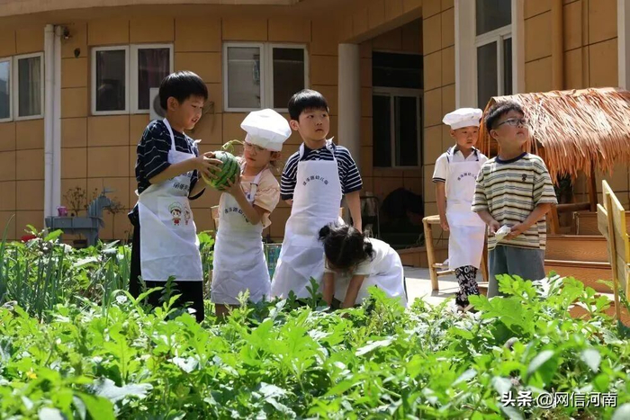 江苏省徐州市徐海路幼儿园，孩子们在小菜园摘西瓜。图源：新华社