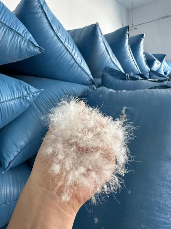 羽绒 图源：受访者