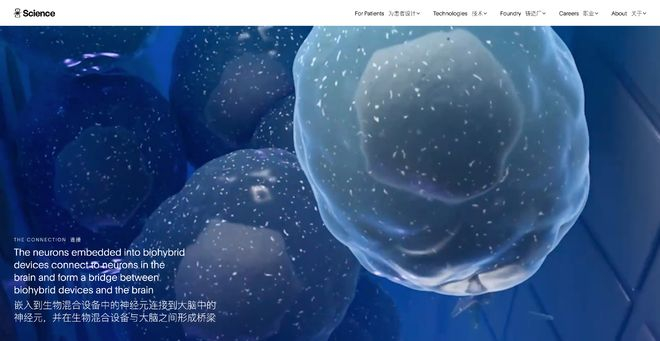 ▲ Science Corporation 是一家处于临床阶段的医疗科技公司