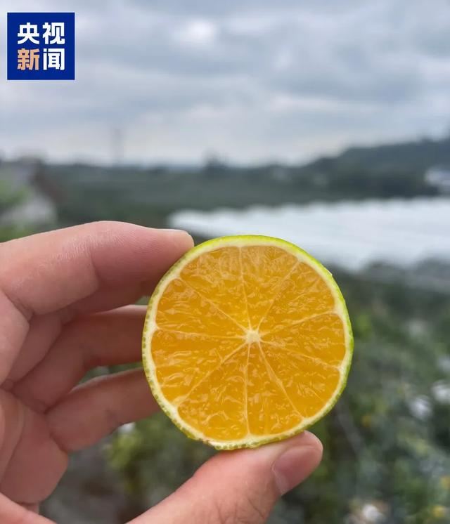 △“阳光2号” 