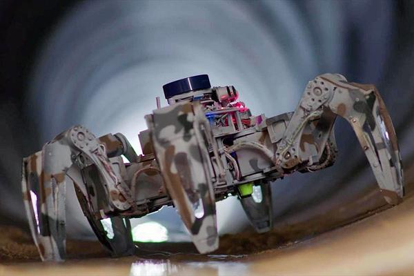 “探伤专家”智能检测机器人。受访者供图