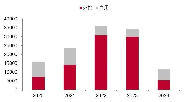 资料来源：公司2020-2024年年度报告，山西证券研究所