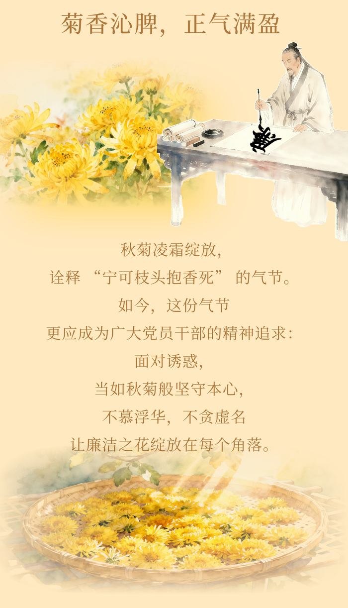 重阳：菊香伴清风 重阳守廉心