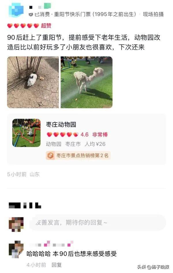 门票。图/网络