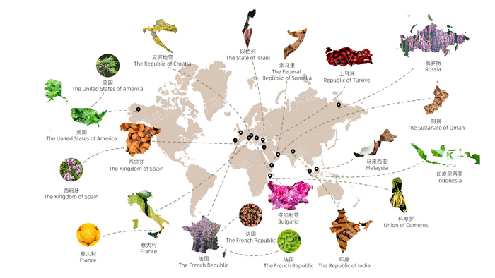 热点问题：绍兴Spa起飞降落是什么？专业解析起飞降落的实际体验与选择指南