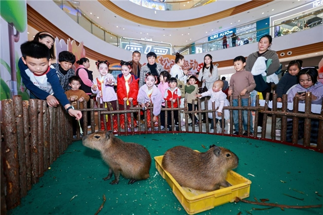 【盛昊篷车启动全国亲子巡游计划】以“松弛与趣动”开启家庭出行新风尚