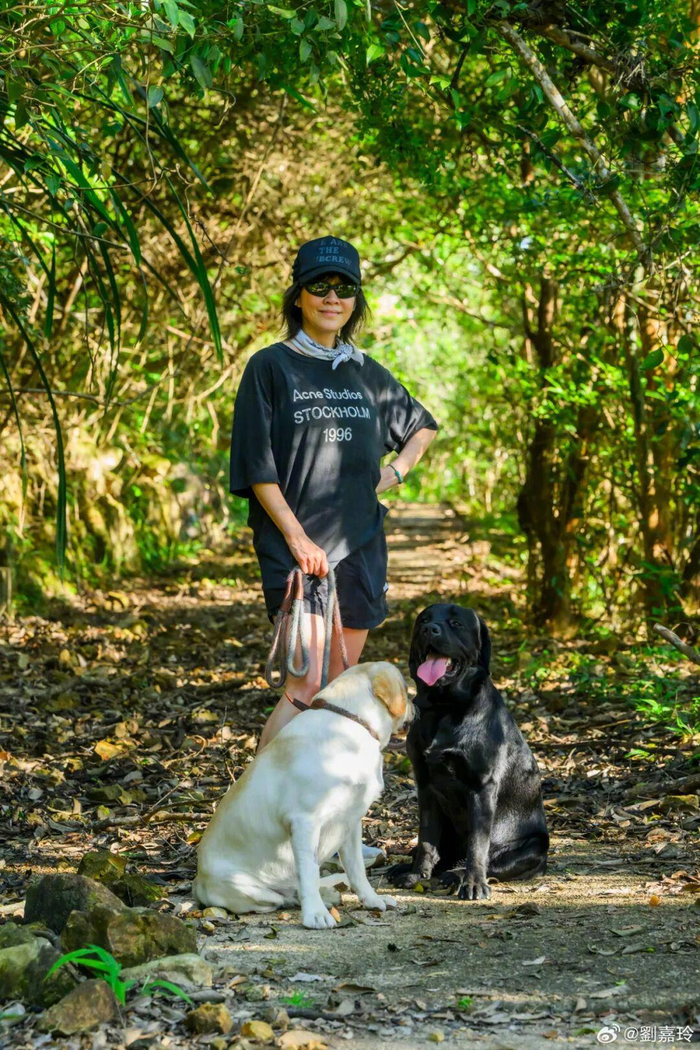 来源：潮新闻综合自当事人社交平台