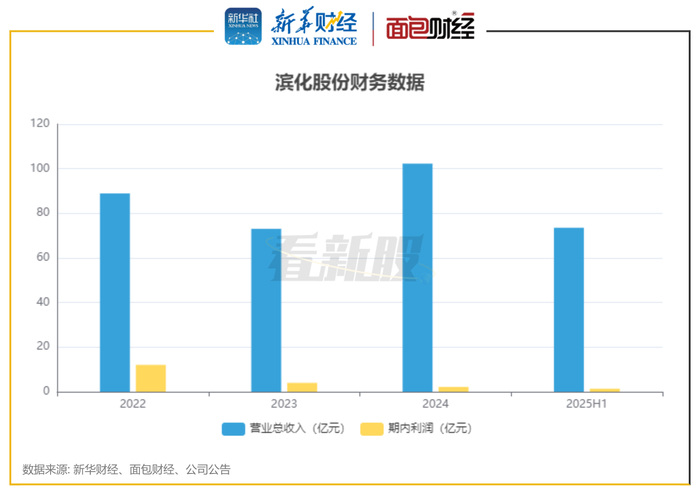 图2:滨化股份财务数据
