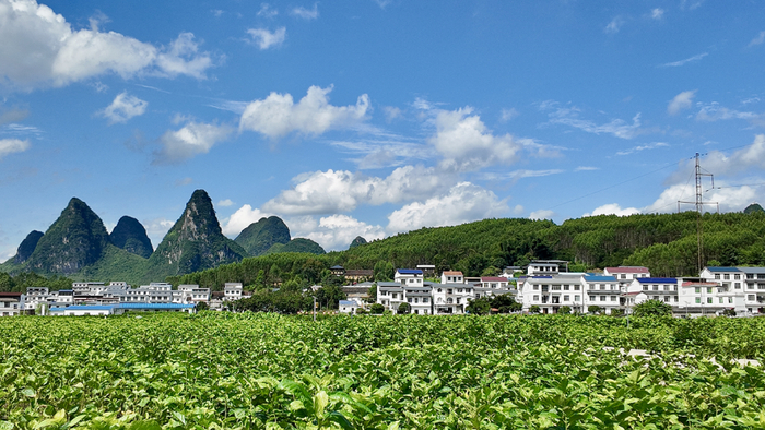 河池市环江毛南族自治县大才乡蚕桑新农村