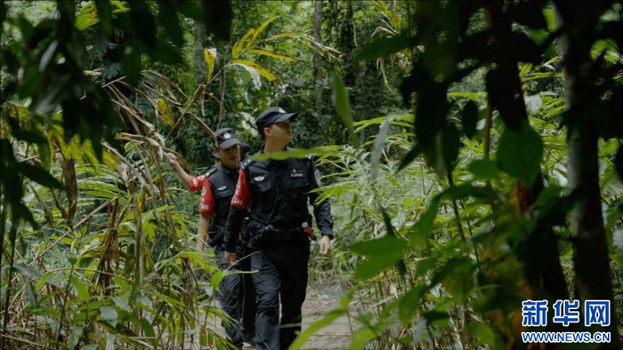 民警在雨林中徒步巡逻（10月21日摄）。新华网发（云南省公安厅新闻宣传处供图）