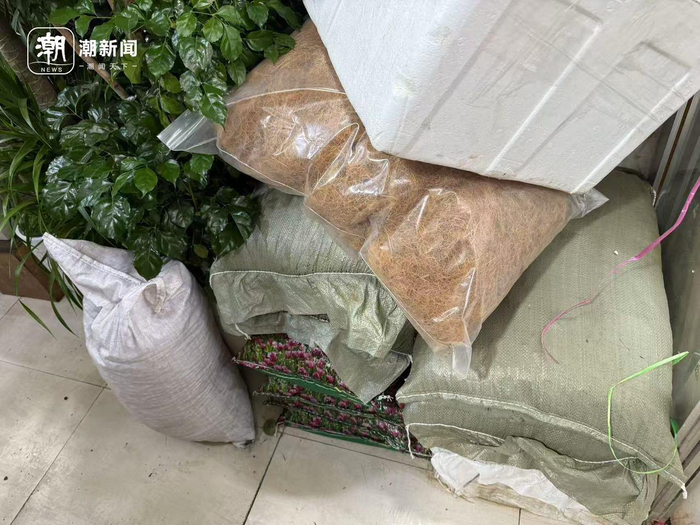 不少花卉店铺内，营养土被随意堆放在角落。记者 戴佳轶 摄