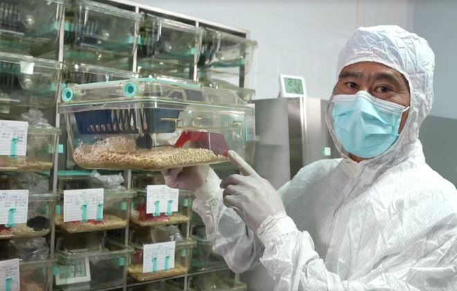 图为科研人员展示实验小鼠。（中国科学院空间应用工程与技术中心提供）