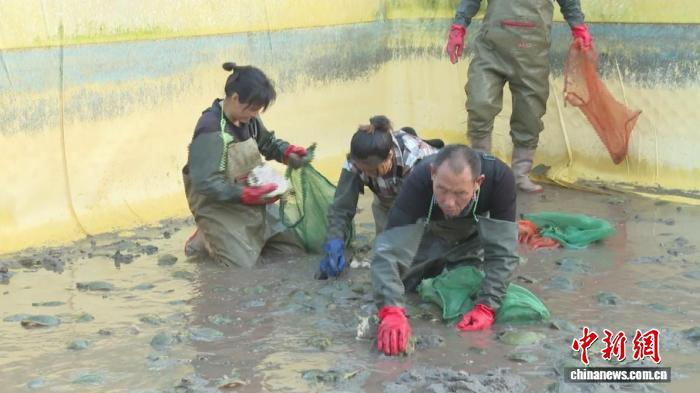 【转载】山西榆社：“甲鱼”变“致富鱼”“养”出特色产业富民路