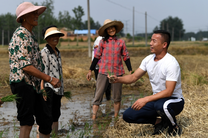 “三夏”时节戴虎在田间与村民们交流。受访者供图