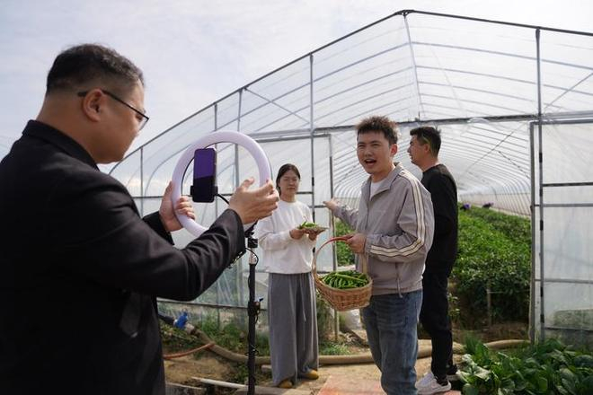 图为10月29日，主播在江西高安富硒辣椒产业园一处辣椒大棚前直播带货。新华社记者 周密 摄