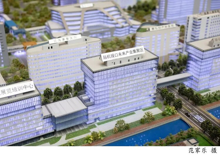 上海脑机接口未来产业集聚区正在加速从沙盘蓝图变为现实。（文汇报记者 范家乐摄）