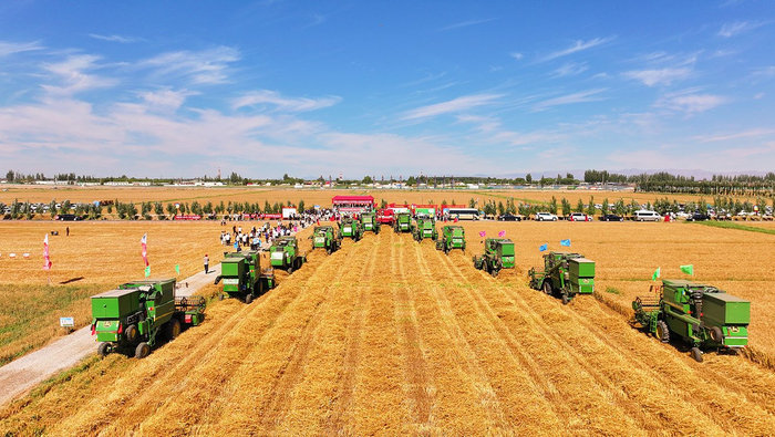 内蒙古小麦开镰仪式在巴彦淖尔市举行。（资料图）